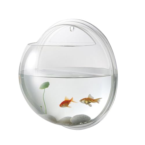 Mipcase Luftpflanzen Fisch Aquarium Fischtank, Wandmontierte Fischschale Hängende Aquarium Fisch Tank Vase Transparent Kleines Aquarium für Home Office Raumdekoration (15 cm Durchmesser) Betta Fish von Mipcase