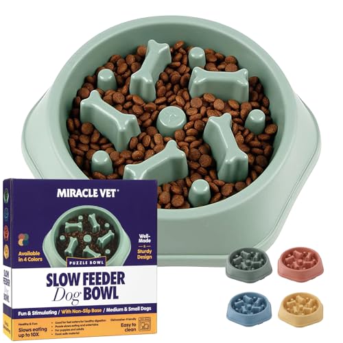 MIRACLE VET Slow Feeder Hundenapf für schnelle Fresser – Für kleine, mittelgroße Hunde – Hunde-Puzzle-Labyrinth hilft beim Verlangsamen des Fressens – Erwachsener, Welpenfutternapf für Blähungen, von Miracle Vet