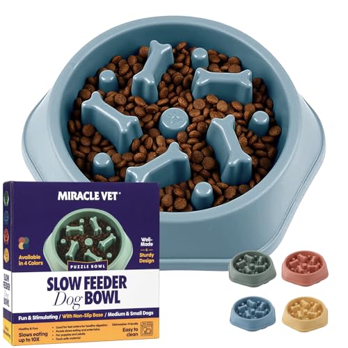 MIRACLE VET Slow Feeder Hundenapf für schnelle Fresser – für kleine, mittelgroße Hunde – Hunde-Puzzle-Labyrinth hilft beim Verlangsamen des Fressens – Erwachsener, Welpenfutternapf für Blähungen, von Miracle Vet