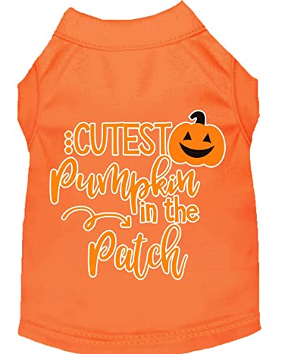 Mirage Pet Product Cutest Pumpkin in The Patch Hunde-Shirt, Orange, Größe XXL von Mirage Pet Products