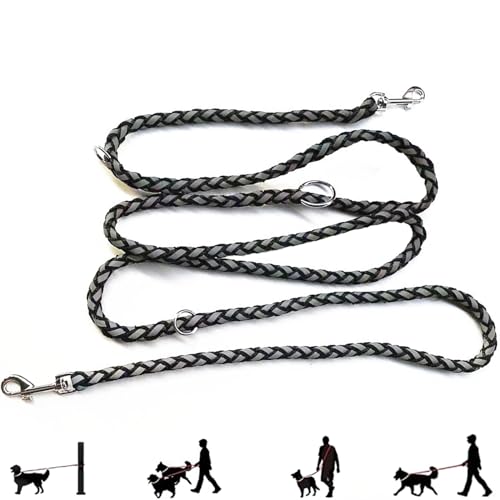 Hundeleine mit Reflektierenden Streifen, 2.5m x 12mm Hundeleine Verstellbar Leuchtleine für Hunde mit 2 Karabiner Joggingleine Hunde Geflochten Doppelleine für Kleine Mittelgroße Hunde, Nylon von Mirrwin