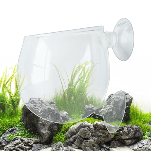 Misaakoeq Aquarium-Pflanzenhalter, Glas-Pflanzbecher, Aquarium-Pflanzgefäß, Wasserpflanzenhalter, Glatter, transparenter Blumentopf, roter Wurm-Futterspender mit Saugnapf für Aquarien, Süßwasser, von Misaakoeq