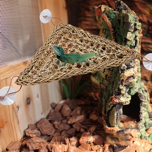 Bartagame Hängematte Terrarium Hängematte Reptilien Hängematte Hängematte Reptilien Hängepflanze Reptilien Hängematte Künstliche Pflanzen Kletterreben Lizard Hängematte Für Reptilien von Missmisq