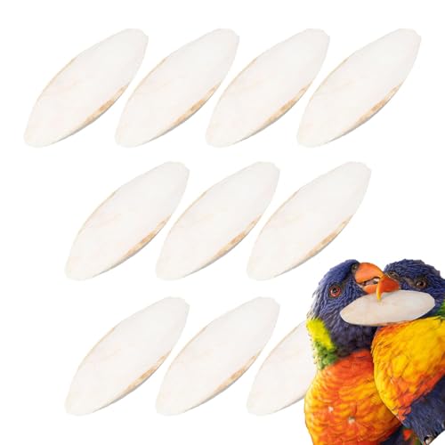 Missmisq 10PCS Vogel Sepiaschale Spielzeug Vogel Sepiaschale Für Sittiche Kauen Vogel Sepiaschale Papagei Entsalzt Tintenfisch Knochen Kauen Spielzeug Tintenfisch Knochen Kalzium Für Papageien Vögel von Missmisq