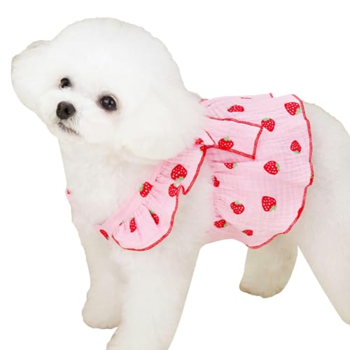 Missmisq Kleines Hundekleid, Hundekleider für kleine Hunde Mädchen,Welpenkleidung Hundekleid | Süße Hundekleider mit Erdbeerdruck, Katzenbekleidung, Hundekleidung für kleine Hunde und Mädchen von Missmisq