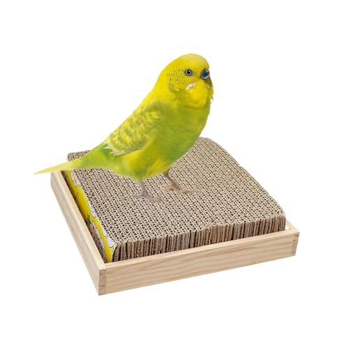 Missmisq Vogel Sitzstange,Pappe Zerleg Spielzeug | Interaktive Beschäftigungsstangen Zum Knäbbern Für Wellensittiche Nymphensittiche Finken Sittiche Und Großsittiche Missmisq Vogel Sitzstange,Pappe Zerleg Spielzeug | Interaktive Beschäftigungsstangen Zum Knäbbern Für Wellensittiche Nymphensittiche Finken Sittiche Und Großsittiche von Missmisq