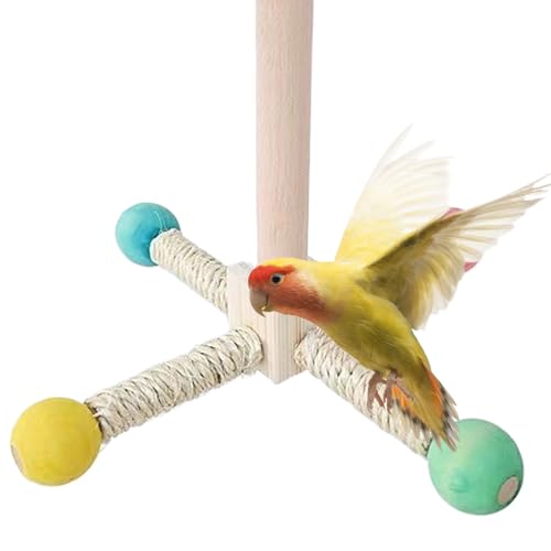 Missmisq Vogel Spielzeug Sitzstange - Drehbarer Vogelkäfig Sitzast Aus Massivholz - Stand Drehend Interaktiv Nager Für Wellensittiche Nymphensittiche Kanarienvögel Haustiere Missmisq Vogel Spielzeug Sitzstange - Drehbarer Vogelkäfig Sitzast Aus Massivholz - Stand Drehend Interaktiv Nager Für Wellensittiche Nymphensittiche Kanarienvögel Haustiere von Missmisq
