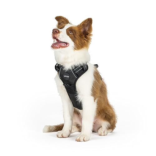 Mister Mill Hundegeschirr 3X Klickschnalle Schwarz - Anti-Streck Geschirr Hundegeschirr - Y Geschirr Hund Reflektierend (L) von Mister Mill Preferring Quality