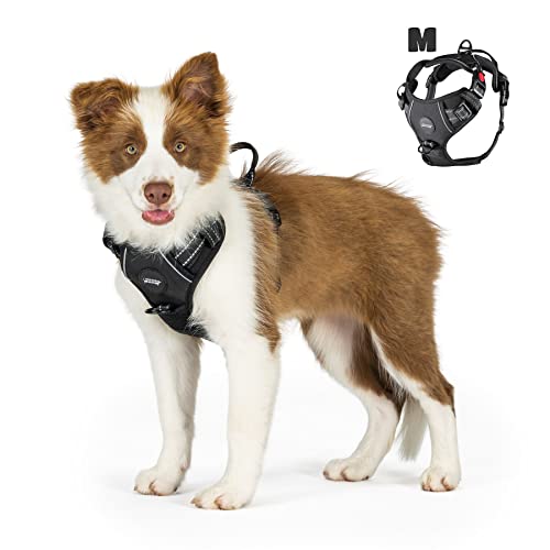 Mister Mill Hundegeschirr 3X Schnappschnalle Schwarz - Anti-Treck Geschirr Hundegeschirr - Y Tuig Hund Reflektierend (M) von Mister Mill Preferring Quality