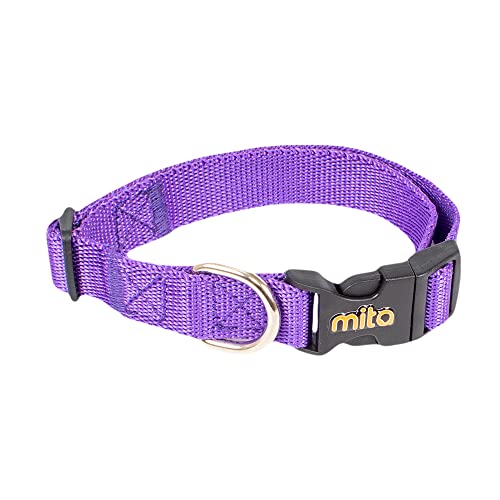 Klassisches Hundehalsband aus Nylon, verstellbar, für Welpen, kleine, mittelgroße und große Hunde, Halsumfang 36,8 - 50,8 cm, Breite 1,9 cm, Größe M (Lila) von Mita