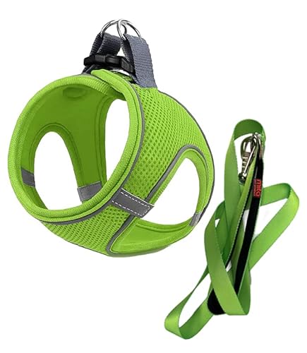 MITA Hundegeschirr und Leine, Set – Welpengeschirr – Katzengeschirr – bequemes Step-In Big & Small Dog Harness, Breathable and Multi Weather Mesh Escape Proof Dog Harness – Secure & Comfortable von Mita