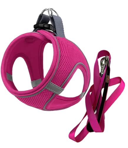 MITA Hundegeschirr und Leine, Set – Welpengeschirr – Katzengeschirr – bequemes Step-In Big & Small Dog Harness, Breathable and Multi Weather Mesh Escape Proof Dog Harness – Secure & Comfortable von Mita