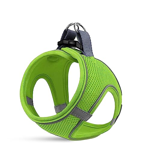 MITA Hundegeschirr und Leine, Set – Welpengeschirr – Katzengeschirr – bequemes Step-In Big & Small Dog Harness, Breathable and Multi Weather Mesh Escape Proof Dog Harness – Secure & Comfortable von Mita