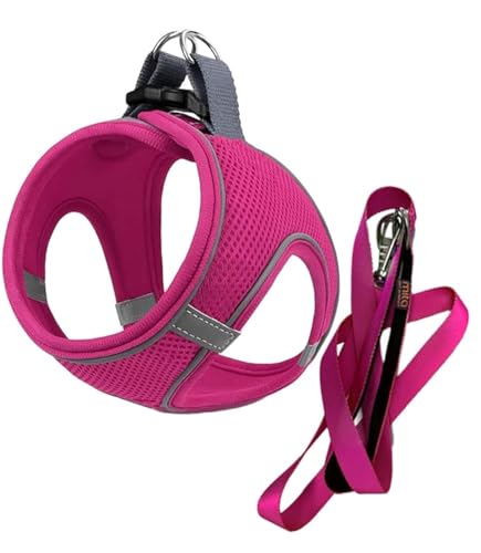 MITA Hundegeschirr und Leine, Set – Welpengeschirr – Katzengeschirr – bequemes Step-In Big & Small Dog Harness, Breathable and Multi Weather Mesh Escape Proof Dog Harness – Secure & Comfortable von Mita