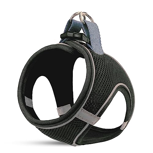 MITA Hundegeschirr und Leine, Set – Welpengeschirr – Katzengeschirr – bequemes Step-In Big & Small Dog Harness, Breathable and Multi Weather Mesh Escape Proof Dog Harness – Secure & Comfortable von Mita