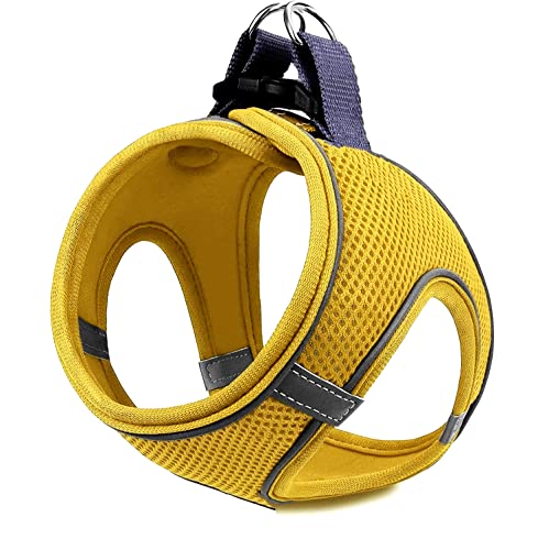 Mita Yellow MESH Harnesses 3XS von Mita