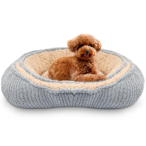 Miyacare Hundebett Mittelgroße Hunde,Hundebett Waschbar Flauschig Hundekorb,Anti-Angst Hundebetten Bequem Hundekörbchen,Rutschfestes Hundebett für Mittelgroße und Kleine Hunde (Grau, S 73x50x16.5cm) von Miyacare