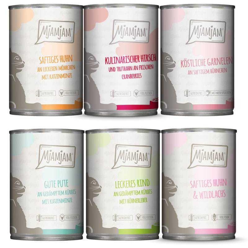 Probierpaket MjAMjAM 6 x 400 g - Mixpaket (6 Sorten) von MjAMjAM