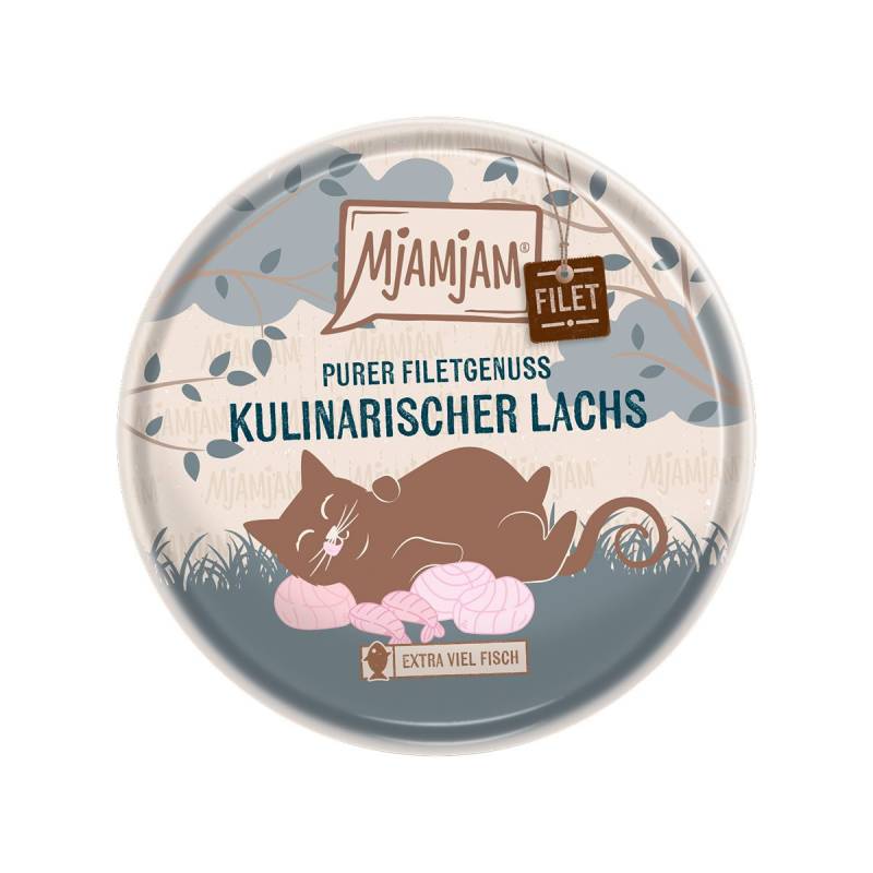 MjAMjAM Purer Filetgenuss - kulinarischer Lachs 16x80g von MjAMjAM