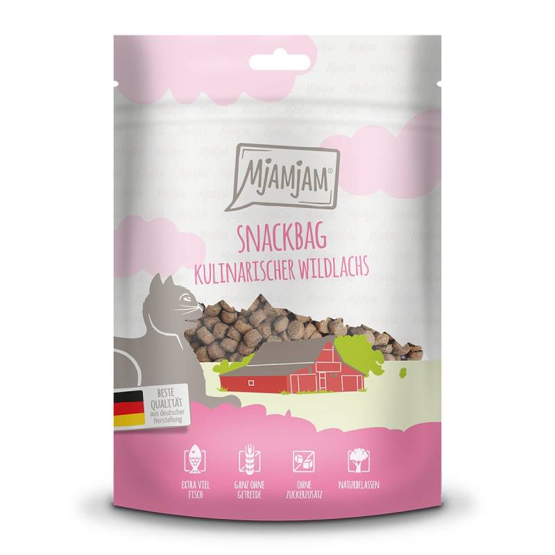 MjAMjAM - Snackbag – kulinarischer Wildlachs 125g von MjAMjAM