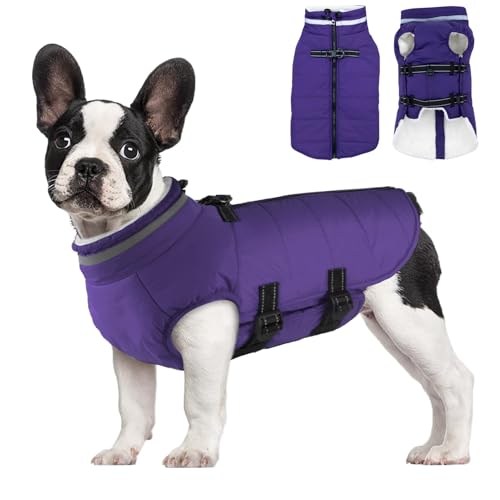 Mklhgty Hundemantel, warme Hundejacke mit integriertem Geschirr, Wintermantel für kaltes Wetter, wasserdicht, winddicht, mit Reißverschluss, Hundemäntel für kleine, mittelgroße und große Hunde von Mklhgty