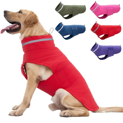 Mklhgty Hundemantel, wasserdichte Hundejacke, Wintermantel für kaltes Wetter, warme winddichte Hunde-Schneejacke, Kleidung, reflektierend, verstellbar, Rollkragen, Hundemäntel für kleine, mittelgroße von Mklhgty