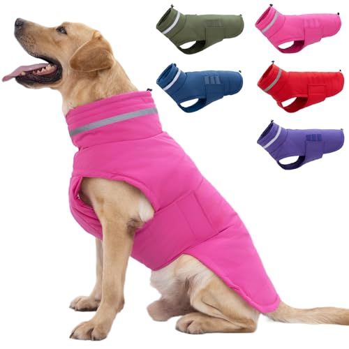 Mklhgty Hundemantel, wasserdichte Hundejacke, Wintermantel für kaltes Wetter, warme winddichte Hunde-Schneejacke, Kleidung, reflektierend, verstellbar, Rollkragen, Hundemäntel für kleine, mittelgroße von Mklhgty