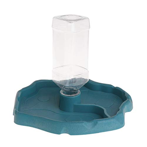 Mllepjdh Futternapf Doppelplatte Feeder Tränke Auto Haustier Wasserspender für Schildkröte Mais Snake Supplies Pet Supplies Pet Supplies Amphibien Supplies Pet Pet von Mllepjdh