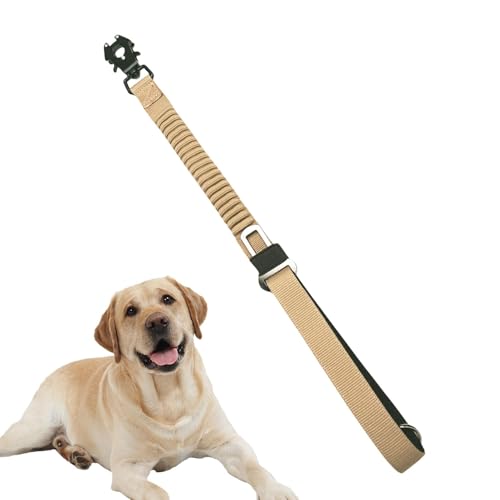 Dehnbares Hundetrainingsseil, elastisches Hundespielseil, stoßabsorbierendes Seil, elastische Hundeleinen, stabiles elastisches Seil mit kurzer Zugkraft für Trockenheit von Mlllokfki