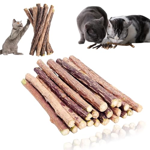 Mmgoqqt 30 Stück Katzenminze Sticks, Katzen Kauhölzer, Stick Katze Sticks Spielzeug, für Zahnpflege & Gegen Mundgeruch, Katzenminze Sticks zum Schleifen Zähnen, Natürlich Sicher Katzensticks von Mmgoqqt