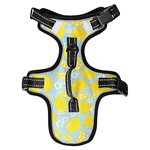 Hundegeschirr Floral Lemon Seamless No Pull Reflective Adjustable Dog Vest Geschirre mit 2 Leine Clips und Easy Control Handle for Small Medium Dogs Cats M von Mnsruu