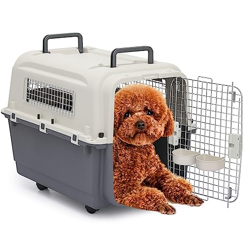 MoNiBloom 81,3 cm Kunststoff-Transporttasche auf Rädern für kleine und mittelgroße Hunde und Katzen, multifunktional, harte Katzentasche, Hundehütte, Belüftung und Sicherheitsschloss-Design, für von MoNiBloom