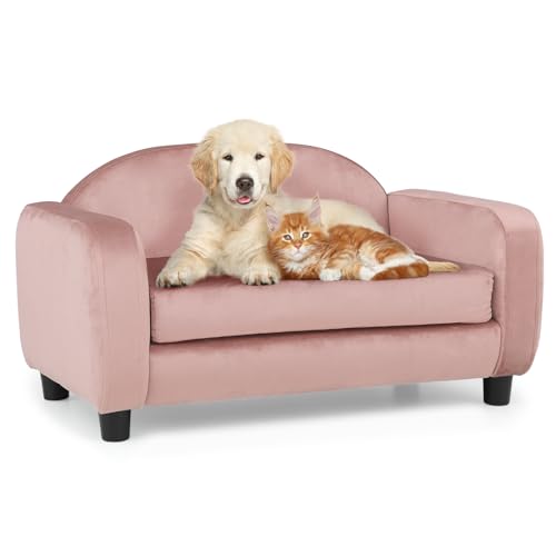 MoNiBloom Haustiersofa Hundesofa für kleine Hunde und Katzen, Samt Luxus Katzen-Couch Bett mit abnehmbarem Kissen, waschbarer Bezug, Rosa von MoNiBloom