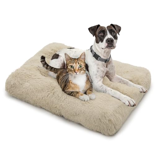 MoNiBloom Hundebetten für große Hunde, maschinenwaschbar, langes Plüsch-Haustierbett, wärmend, gemütlich, weiches Bett für Hunde und Katzen, Beige von MoNiBloom