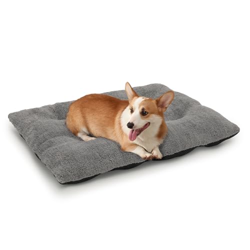 MoNiBloom Hundebetten für mittelgroße Hunde, maschinenwaschbar, kurzes Plüschbett, wärmend, gemütlich, weiches Bett für Hunde und Katzen, 87,6 x 66 x 14 cm, Dunkelgrau von MoNiBloom