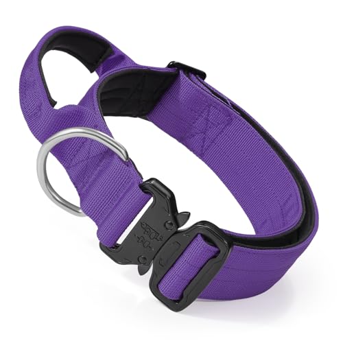 MoNiBloom Taktisches Hundehalsband mit Griff, 3,8 cm breit, strapazierfähig, Militär-Halsband für mittelgroße und große Hunde, Spazierengehen, Training, Laufen, Violett von MoNiBloom