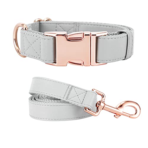 Hundehalsband und Leine. Weiches und leicht zu reinigendes veganes Leder mit rotgoldener Metallschnalle für kleine, mittelgroße und große Hunde (Grau, XS (20,3 - 30,5 cm) von MoTaity