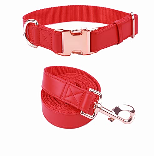 Hundehalsband und Leine. Weiches und leicht zu reinigendes, veganes Leder mit rotgoldener Metallschnalle für kleine, mittelgroße und große Hunde (Rot, Größe L: 39,1-63 cm) von MoTaity