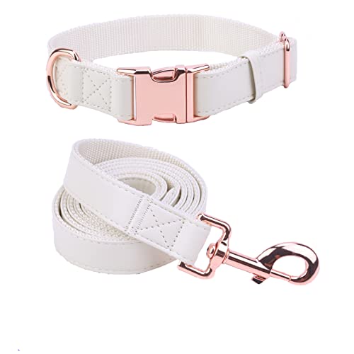 Hundehalsband und Leine. Weiches und leicht zu reinigendes veganes Leder mit rotgoldener Metallschnalle für kleine, mittelgroße und große Hunde (cremefarben, S (31 cm - 42,9 cm)) von MoTaity