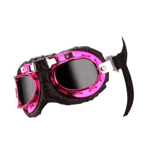 Haustierhundgläser Sonnenschutz Hunde Sonnenbrille Kühle Foto Dressing Brille Strand Urlaub Hundezubehör von Mocoocouture