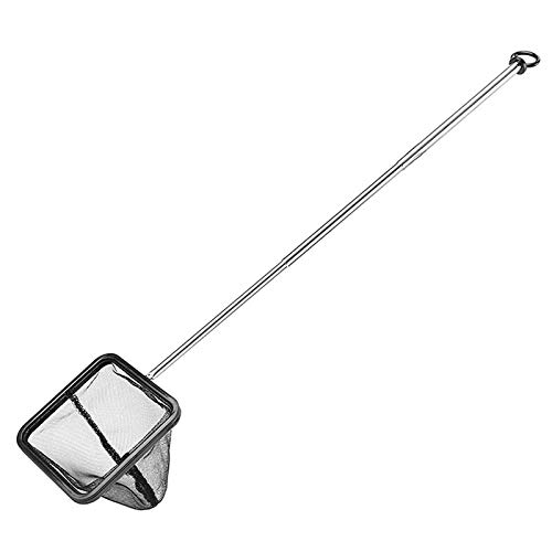 Mocturnity Fischnetz für Aquarien, mit langem Griff, ausziehbar, aus Edelstahl, feinmaschig, für Aquarium Mocturnity Fischnetz für Aquarien, mit langem Griff, ausziehbar, aus Edelstahl, feinmaschig, für Aquarium von Mocturnity