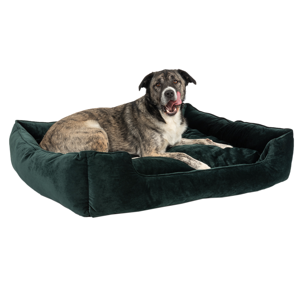 Modern Living Hundebett Fern - L 108 x B 95 x H 24 cm von Modern Living