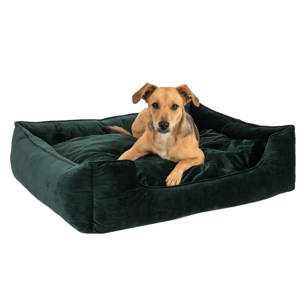 Modern Living Hundebett Fern - L 85 x B 80 x H 22 cm von Modern Living