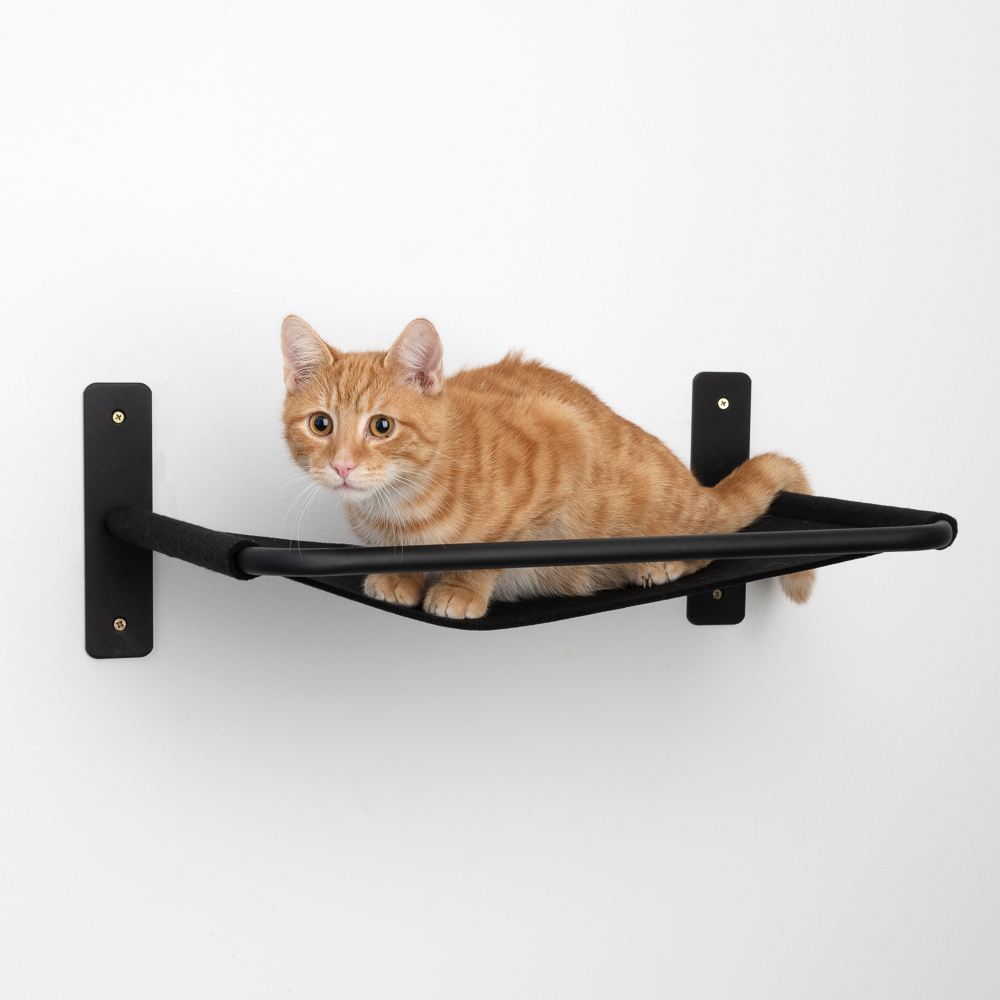 Modern Living Wandbett Boston - schwarz Modern Living Wandbett Boston - schwarz von Modern Living