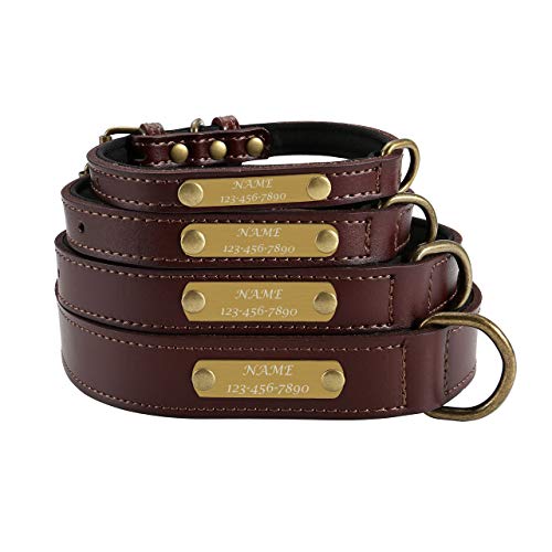 Mogokoyo Personalisierte gepolstert Hundehalsband aus Weichem Vollrindleder Retro Welpenhalsband mit Name/Telefonnummer Gravur für Haustier Pet (L für Halsumfang 35-45cm) von Mogokoyo