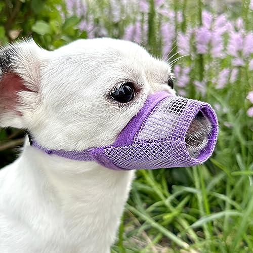 MoiiLavin Weicher Luft-Mesh-Hundemaulkorb, weiches Nylon, Maulkorb, Beißen, Bellen, Kauen, atmungsaktiv, trinkbar, verstellbare Schlaufe, Haustiere, Maulkorb für kleine, mittelgroße und große Hunde von MoiiLavin