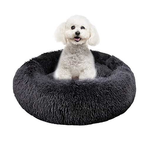 Moistu Beruhigendes Hundebett, Donut-Design, Anti-Angst, waschbar, Plüsch, weich, warm, gemütlich, für kleine, mittelgroße Hunde, Schmerzlinderung und verbesserter Schlaf (50 cm, dunkelgrau) von Moistu