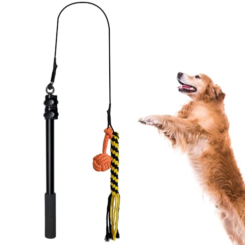 Flirtstange für Hunde, Rreizangel Hund mit Sicherem und Starkem Nylonseil, Langer Flirtstab Mit Elastischer Schnur Für Kle,(40–101 cm), Hundspielzeug Ausziehbar, für Kleine, Mittlere und Große Hunde von Mokernali