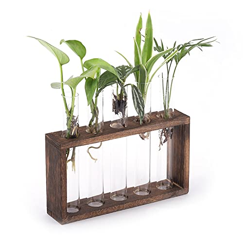 Mokylor 5 Reagenzglas-Pflanzenterrarium, Desktop-Glaspflanzgefäß mit Holzständer, Luftpflanzgefäß, Glühbirnen-Glasvase, Blumenvase, Desktop-Terrarium Zur Vermehrung(Kohlenstofffarbe) von Mokylor