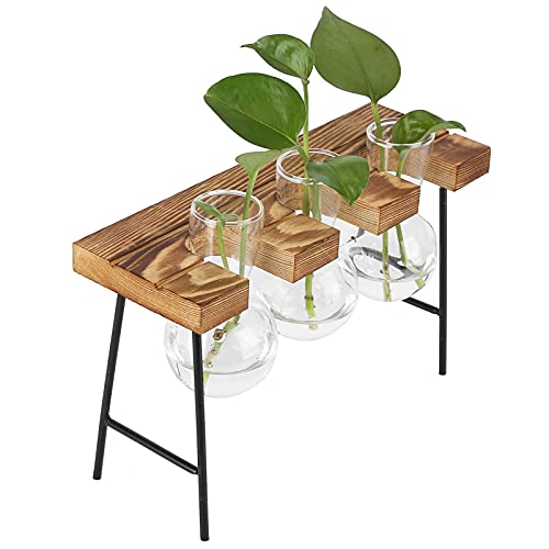 Mokylor Tisch-Pflanzgefäß aus Glas, Pflanzen-Terrarium mit Holzständer, Luft-Pflanzgefäß, Glühbirnen-Glasvase, Blumenvase, Tisch-Terrarium Zur Vermehrung von(DREI Flaschen + Bank) von Mokylor